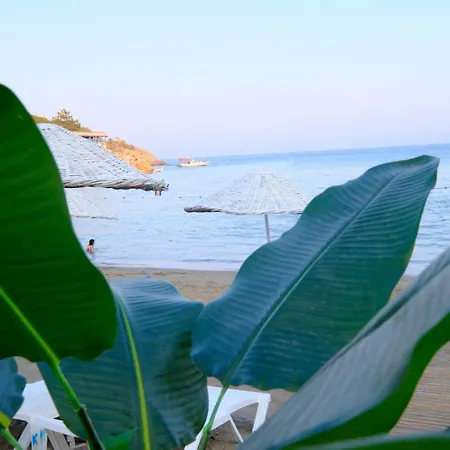 Kupala * Ovacık